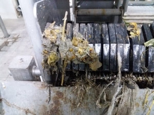 Gozo sewage plant shut down due to illegal animal waste disposal