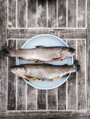 The importance of sustainable seafood consumption in Malta