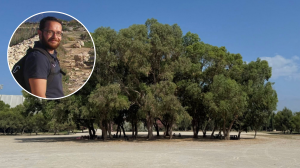 Use of gravel at Ta’ Qali 'sterilises' soil, expert says