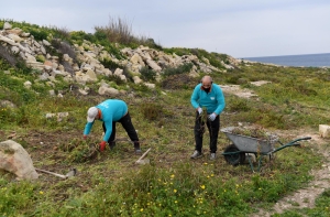 Inwadar afforestation starts with removal of invasive species