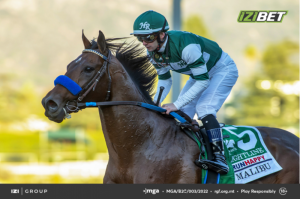 XB Net unlocks premium horse racing content for IZIBET in Malta