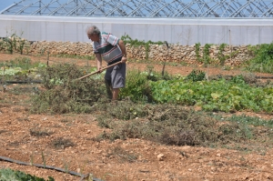 Metered groundwater abstraction increases by 52% in just one year