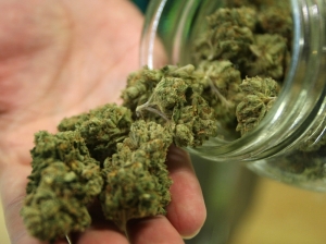 Catholic and social work organisations call for free vote on cannabis law