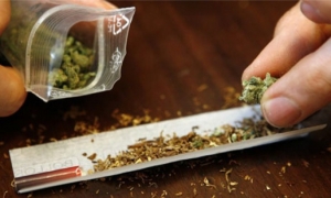 Zebbug man charged in connection with half-kilo cannabis find