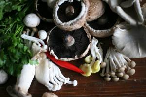 Three comforting recipes with mushrooms