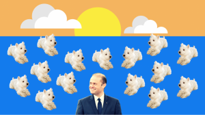 Cute, fluffy, white asylum seeker earns proud tweet by Maltese prime minister
