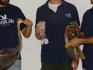 Hunters: propaganda on birds we kill ‘causes unnecessary suffering to birds’