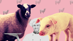 Pork industry faces dramatic decline