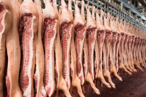 Illegal slaughterhouse discovered on Rabat farm