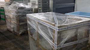 Thousands of euros’ worth in illegal fish seized from Żabbar industrial estate