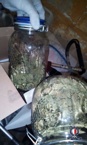 Three men, woman arrested after extensive police drug raids