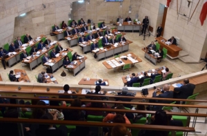 AD proposes 2.5% votes threshold for MP election, gender-balanced candidates lists