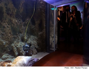 Underwater camera lets you see fish from your living room