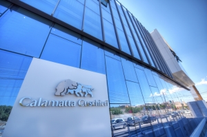 Calamatta Cuschieri Finance plc registers positive results during the first half of 2020