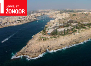 Irregularities in Zonqor project entrenched mistrust in government - FAA