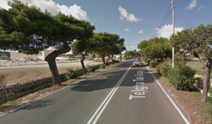 Government denies hundreds of trees in Rabat will be uprooted for major road project