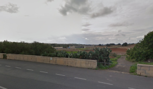 Why are uprooted trees being replanted in private Dingli land? PN asks
