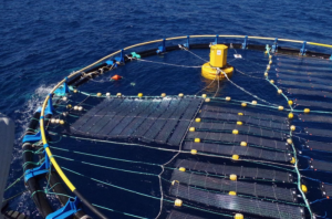 MCAST project seeks to generate solar energy from sea structures