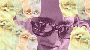 Malta’s ‘El Chapo’ told Facebook his pet Pomeranian was missing. He then got arrested