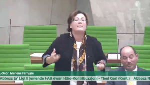 Marlene Farrugia says Labour was hijacked by people who sowed the seeds of death