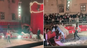 Ministry revokes Monte Kristo circus permit over illegal animal performances