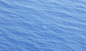 Rescue NGO flies surveillance flight, claims dead body shows new shipwreck