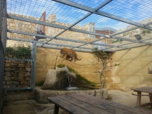 Irregular Siggiewi zoo exempted from impact assessment