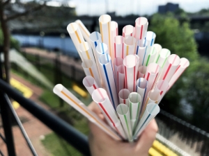 Importation of plastic bags, straws, cotton buds banned from 1 January