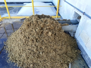 Illegally dumped animal waste shuts down sewage treatment plant