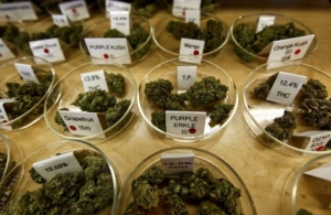 ADPD says cannabis should be purchased legally