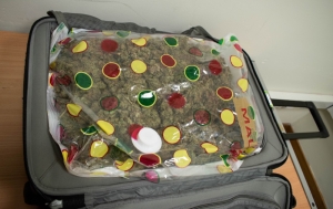 Spaniard with 1.2kg of cannabis in suitcase foiled by airport scanner