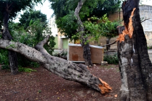 Over 400 residences request assistance as October storm wreaks havoc