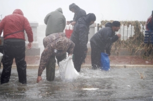 Health warning after Xemxija fish-fest