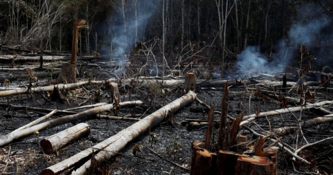 Wildfires often occur in the dry season in Brazil but they are also deliberately started in efforts to illegally deforest land for cattle ranching