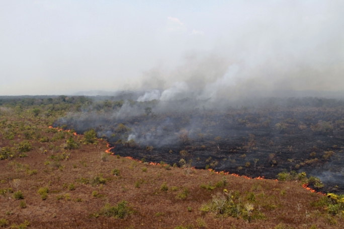 One of the most intimidating things to face the world this year was the scale and ferocity of the wildfires ravaging Siberia, Alaska, Greenland and now also the Amazon