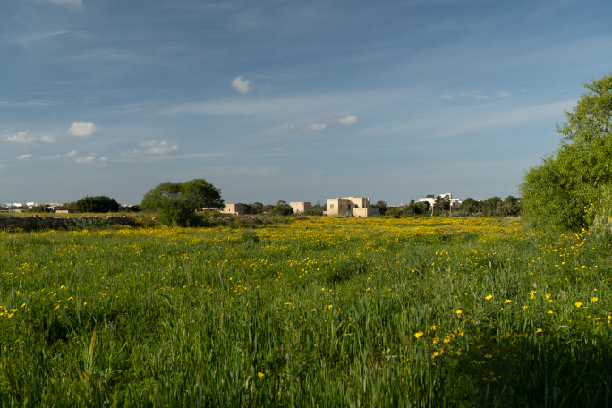 Public land in Żurrieq remains under threat, Opposition warns
