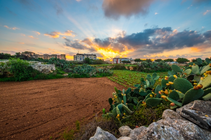 The site contains many fields which are still utilised and serve as a buffer zone between the highly developed areas of Swatar, Birkirkara and Msida