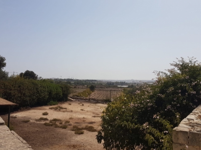 PA received 1,400 submissions on Central Link project, Attard residents network says