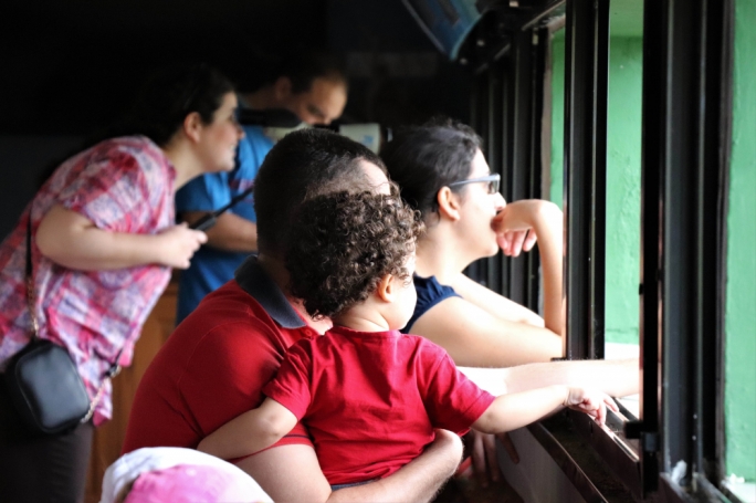 Families have been flocking to the nature reserve to see the flamingos, BirdLife said