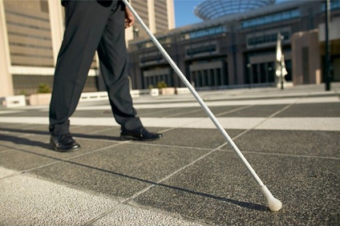 Greens call for introduction of more rights for persons with disability