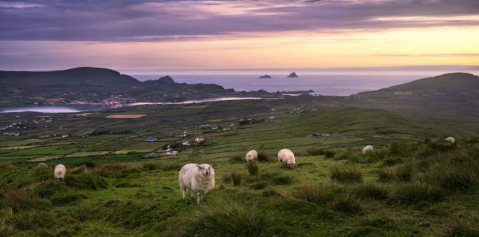 Cycle around Valentia Island, connected to the mainland by a bridge, and discover the home of Ireland’s first transatlantic telegraph cable