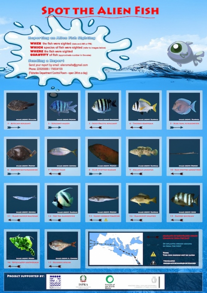 Posters featuring photographs for a total of 32 fish species have been distributed to all local fishermen and SCUBA diving clubs