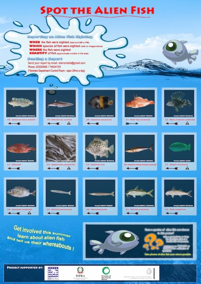 The selected 32 fish species have either been recently recorded in Maltese waters or are as yet unknown