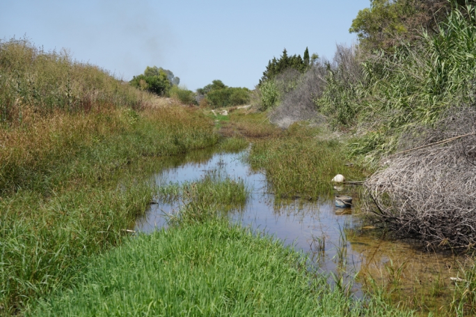 1,600 new trees will be planted in the Burmarrad watercourse. In order to guarantee that the site will remain free of dumped refuse, vandalism and off-road bikers, the whole area will be under security camera surveillance