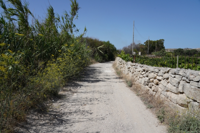 In order to be able to run the system with 128 cameras on site, a 9sq.m room will be located opposite an Enemalta substation by an existing stone bridge within reach of the main road