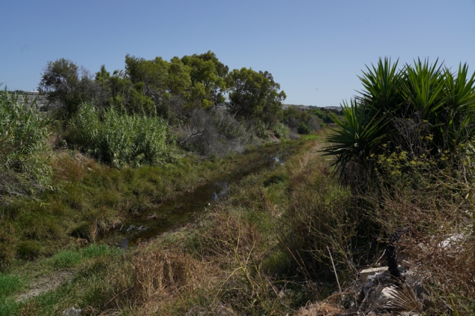 In order to guarantee that the 1,600 new native trees have good irrigation, a 64sq.m underground water reservoir will be located underneath a new stone bridge