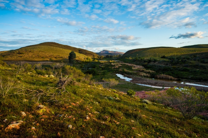 Flinders consists of a number of mountain ranges including Elder Range, Wilpena Range, Heysen Range and Trezona Range