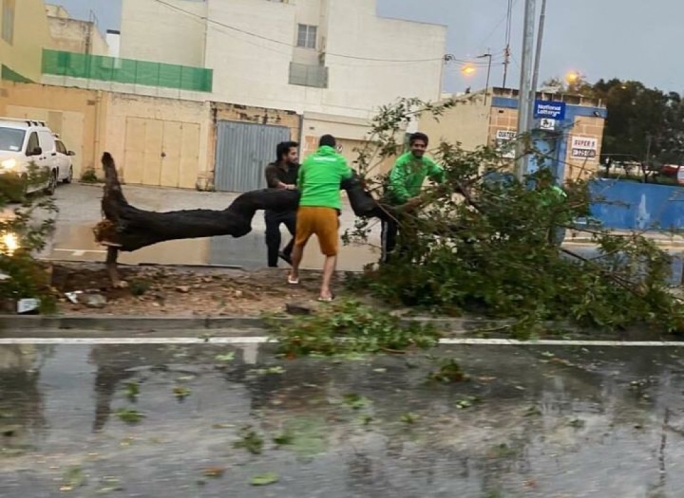 A tree fell down in Iklin (Photo: Facebook)
