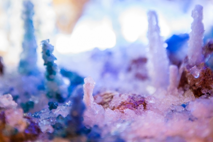 Some of the science-inspired artistic works by MCAST Institute of Art and Design students.