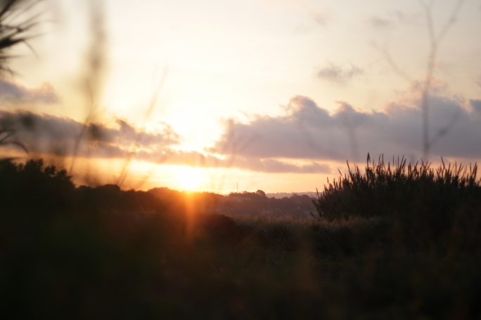 One of the hunting hotspots in the early hours of the morning